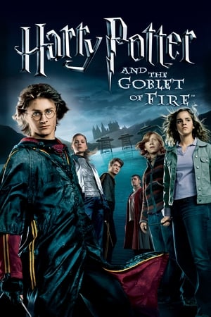 Fire & Ice (2008) Dual Audio | Hindi Full Movie BluRay 300MB