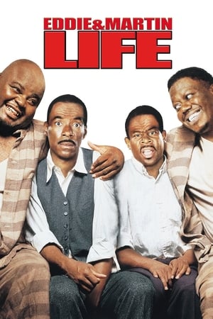 Life (1999) Movie Dual Audio | Hindi Full Movie BluRay [2GB]