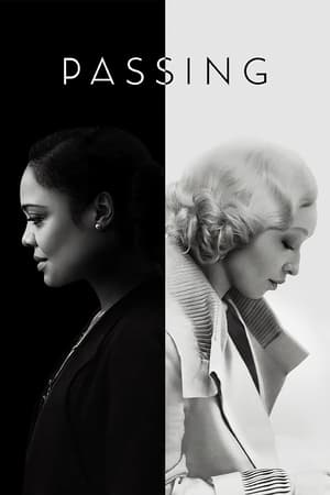 Passing 2021 Dual Audio | Hindi Full Movie Web-DL [1.2GB]