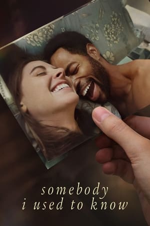 Somebody I Used to Know 2023 Dual Audio HDRip | Hindi Full Movie – 480p